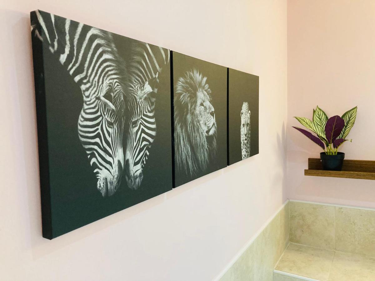 Jungle Escape, City Apartment With Parking & Terrace Chester Exterior foto